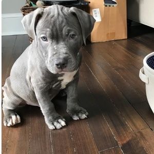 Meet your Posher, Teri